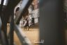 Palio Straordinario: la fotogallery delle Prove di Addestramento Mattutine